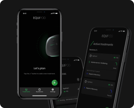 Custom Software Development Gorrion Software House