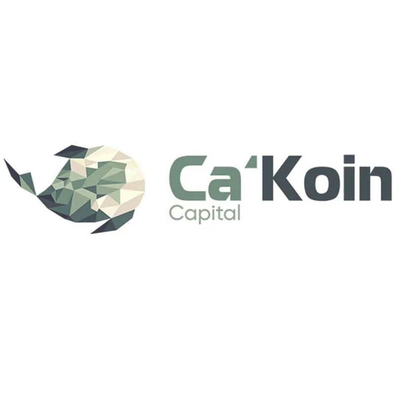 CaKoin Capital