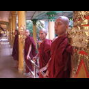 Burma Bago Monks 5