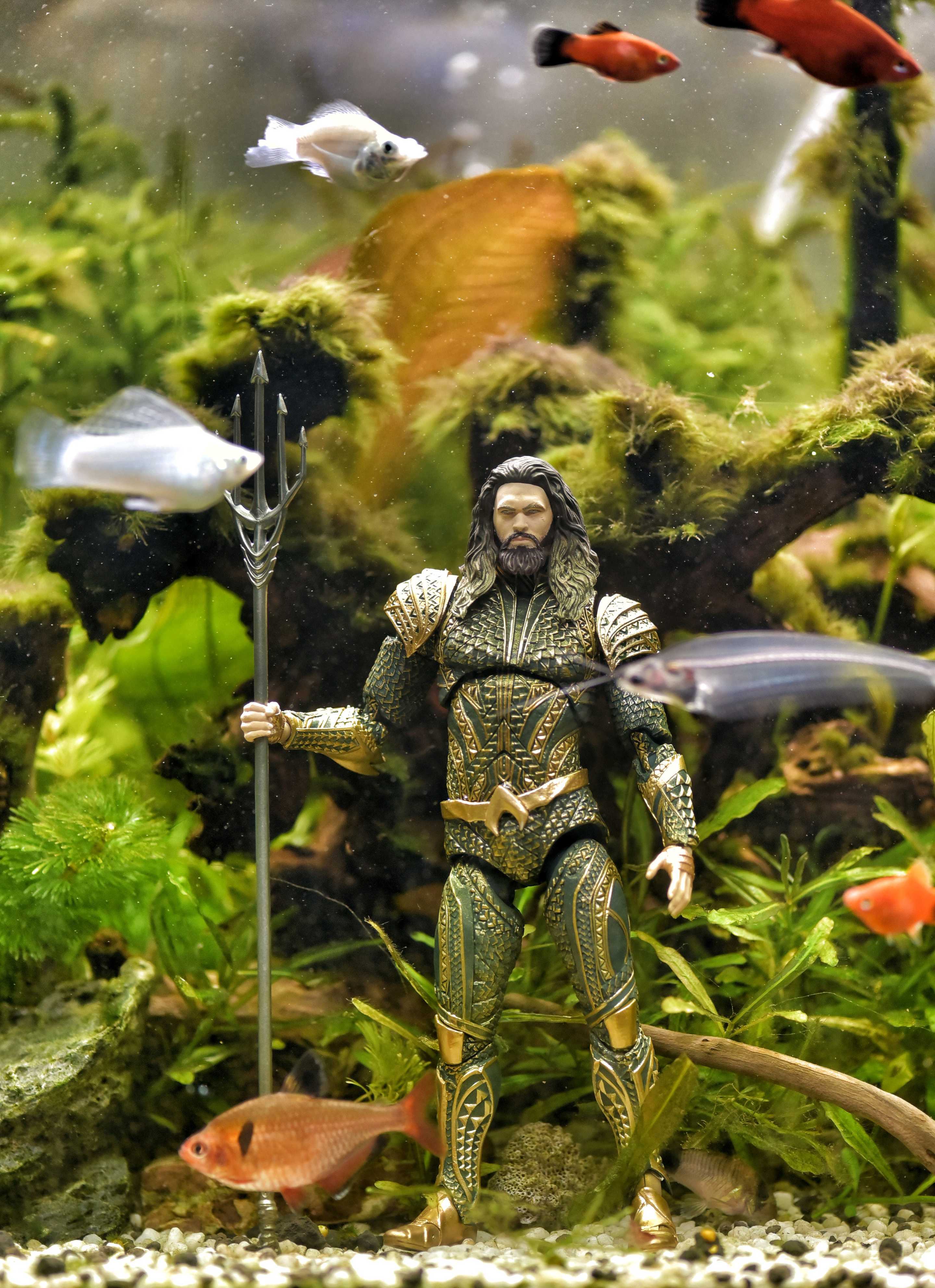 Aquaman In Fish Tank