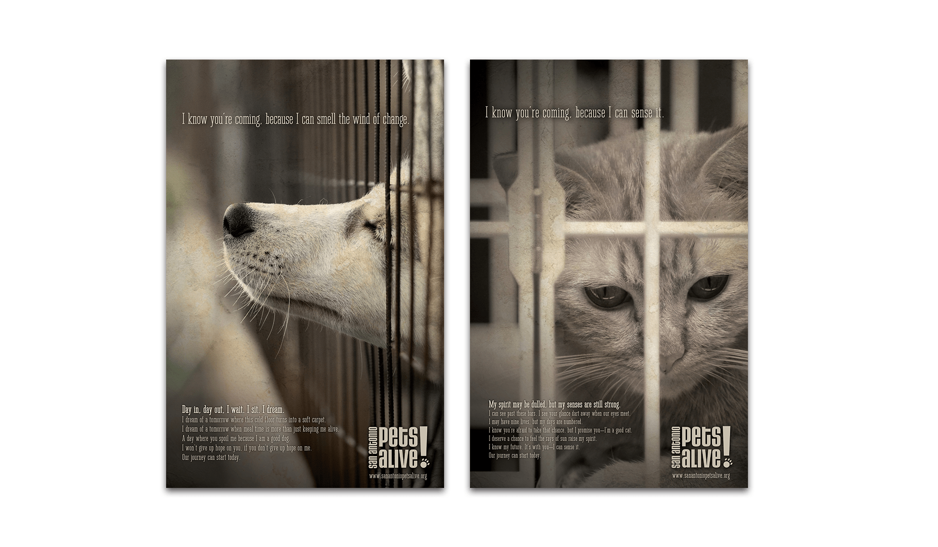SAPA Posters 2