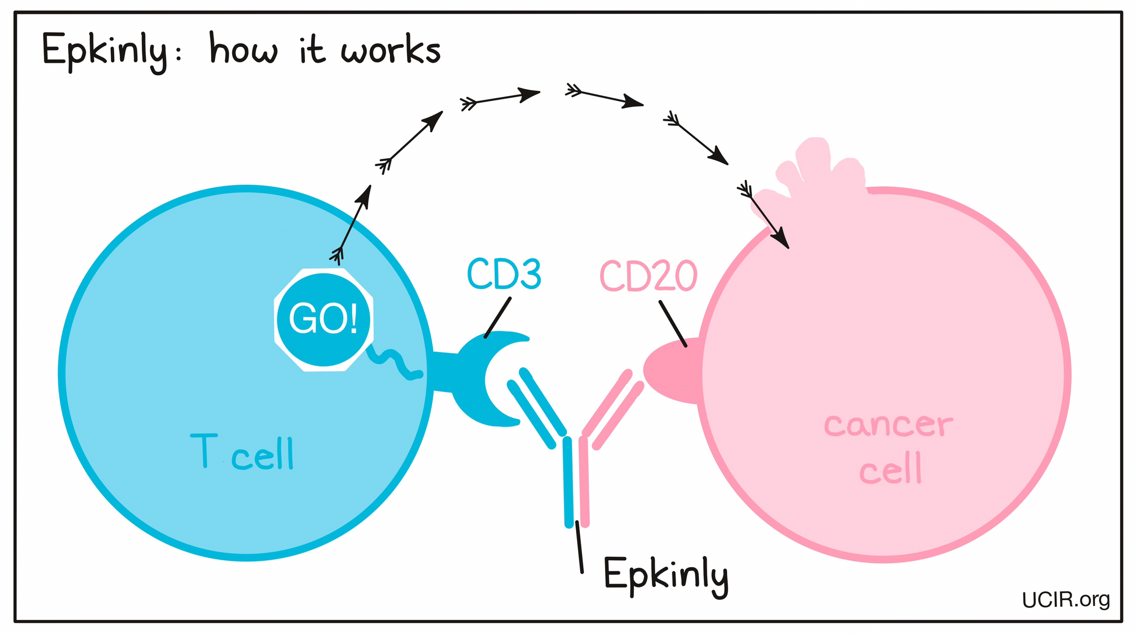 Illustration showing how Epkinly works