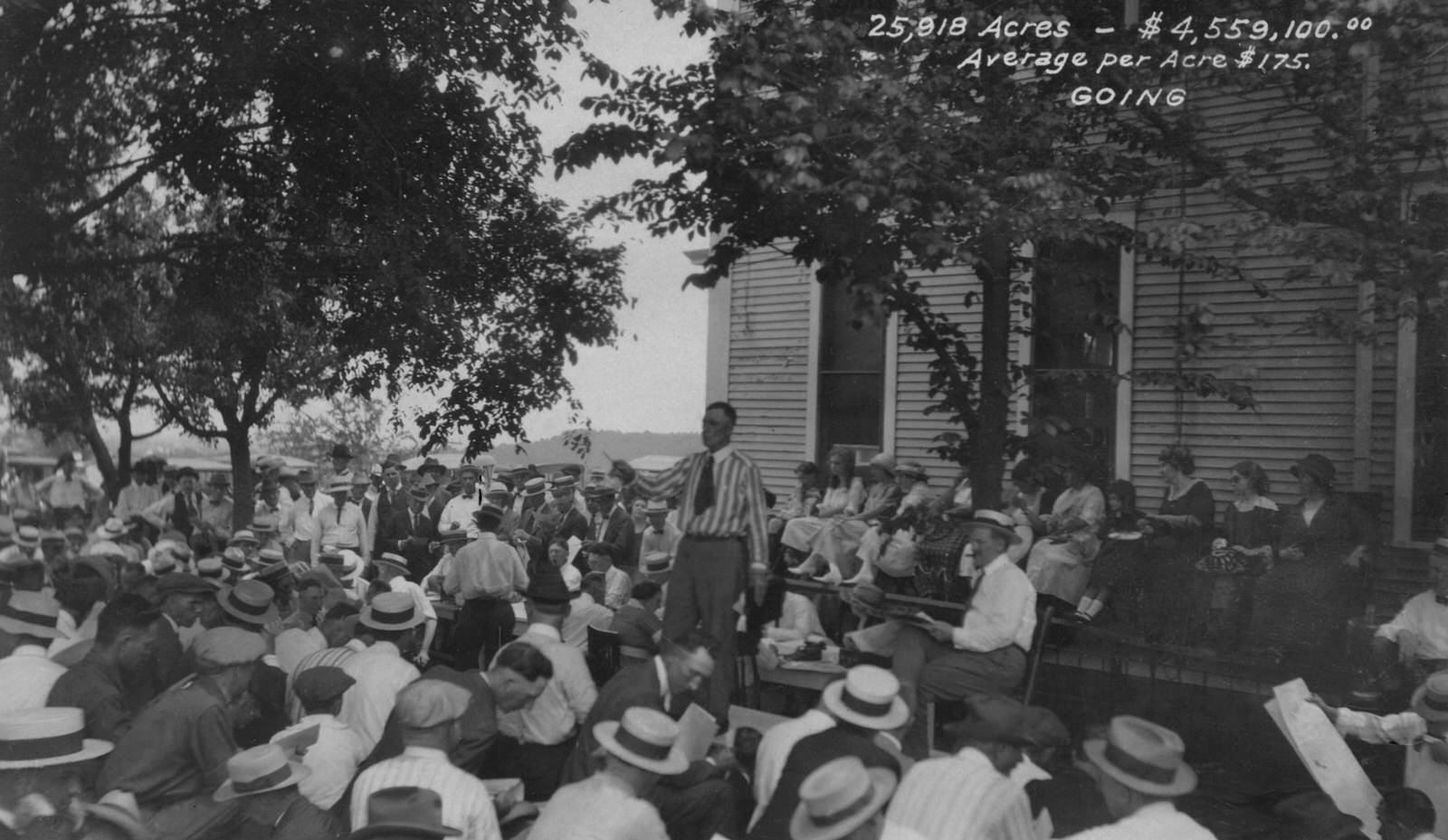Colonel Walters and oilmen gather for an auction under the Million Dollar Elm.