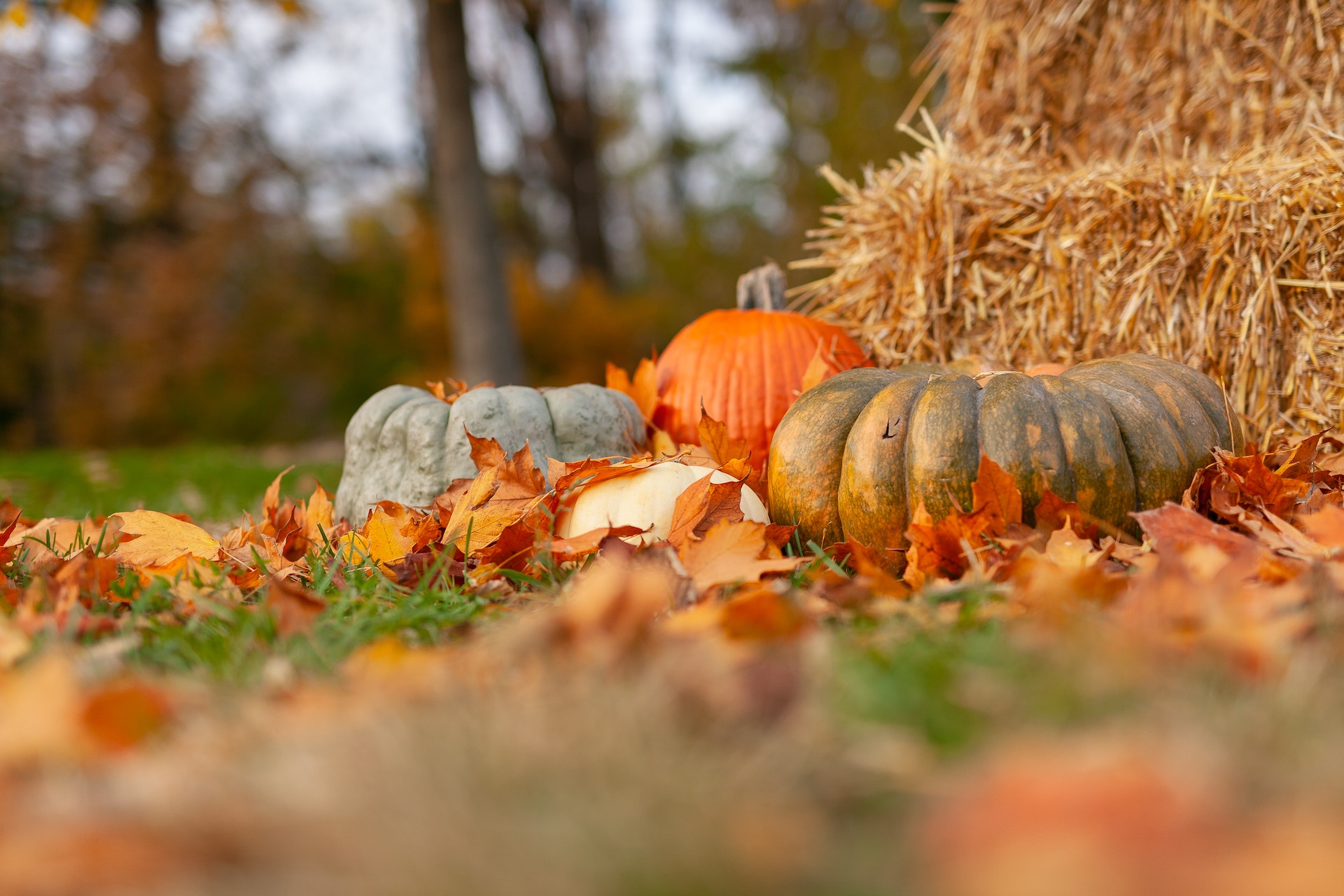 Where November went