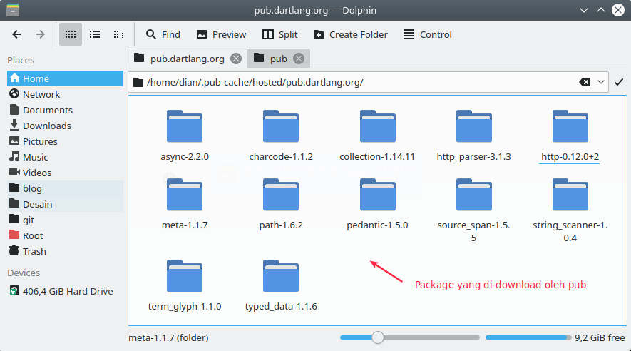 Paket Dart yang terinstall