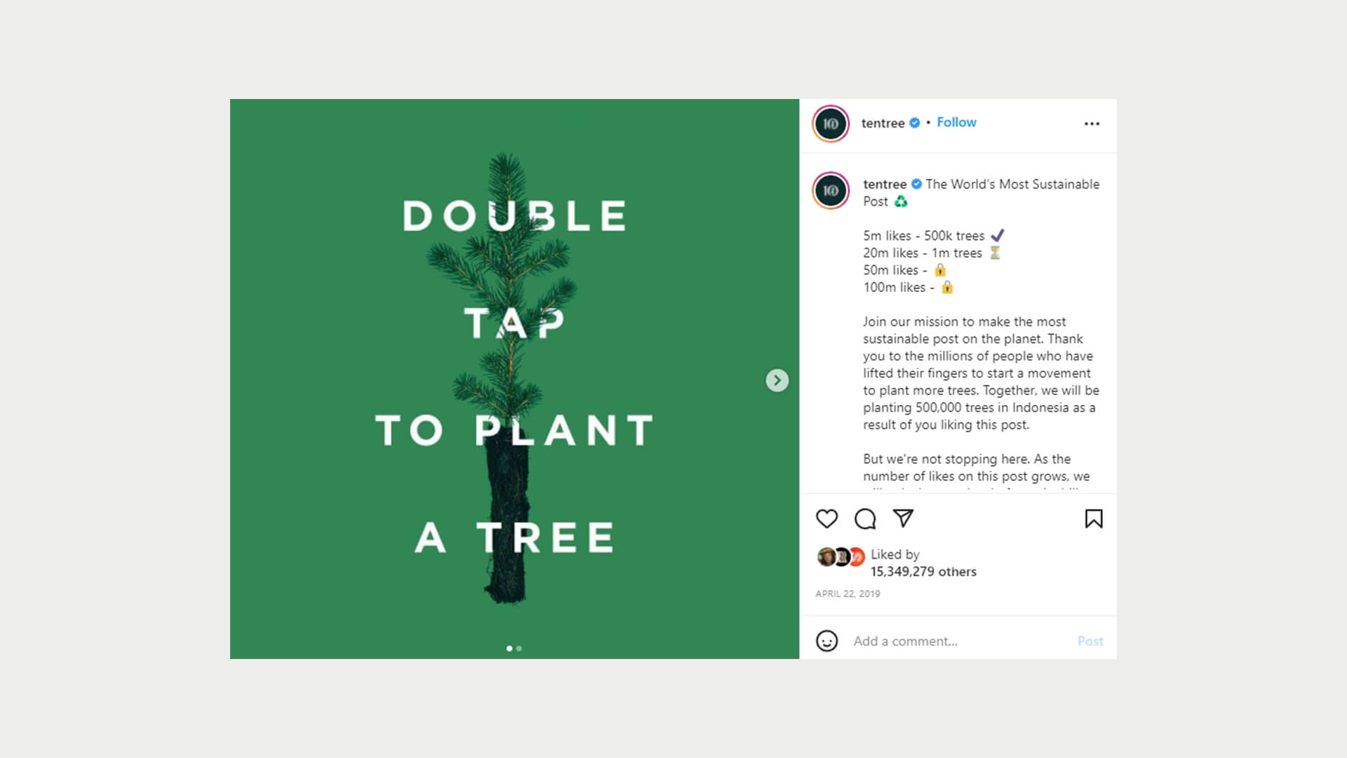 Sustainable clothing brand - planting trees