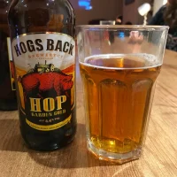 Hogs Back Brewery - Hop Garden Gold