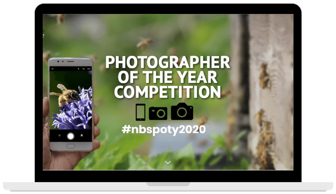 beekeeping portfolio screenshot 1 homepage rhwebdesigns.co.uk