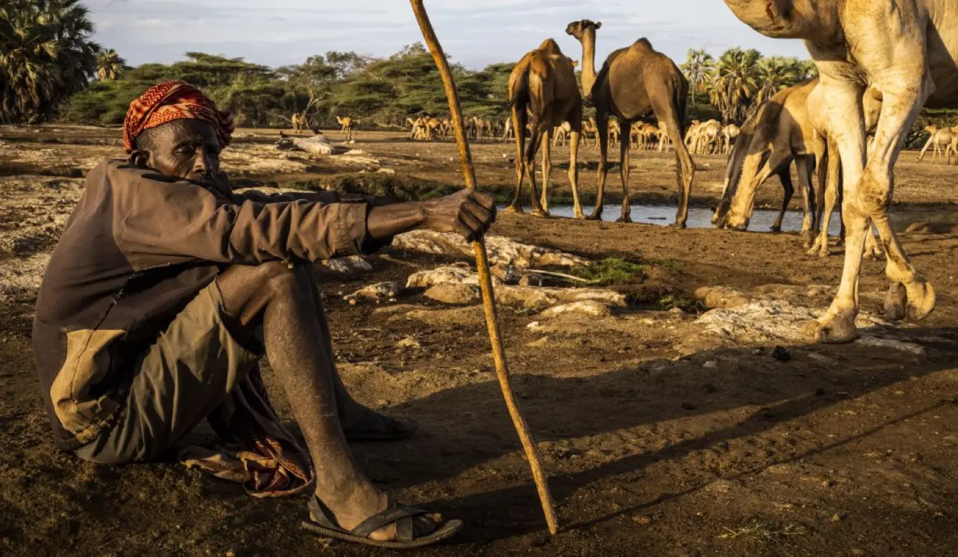 Man with his camels near North Horr in Marsabit, Kenya.