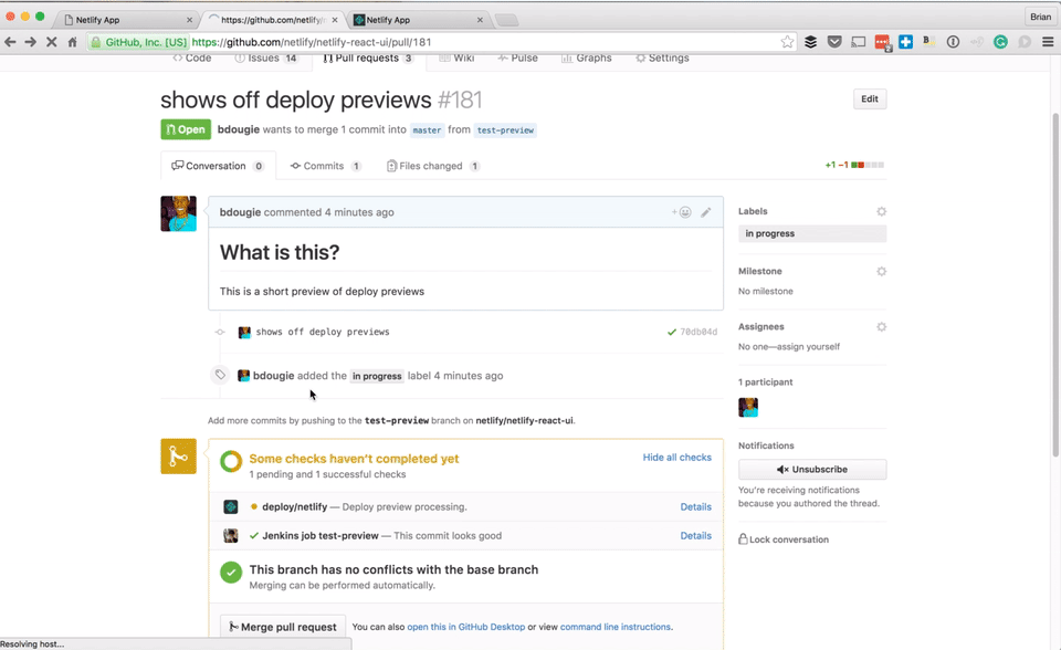 netlify deploy preview workflow