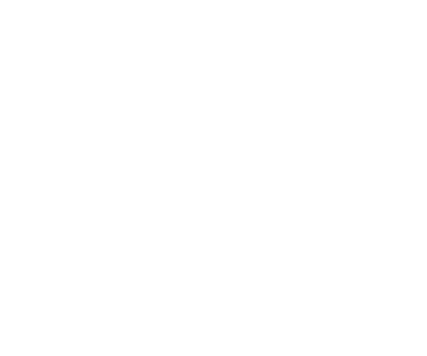 NWSA logo