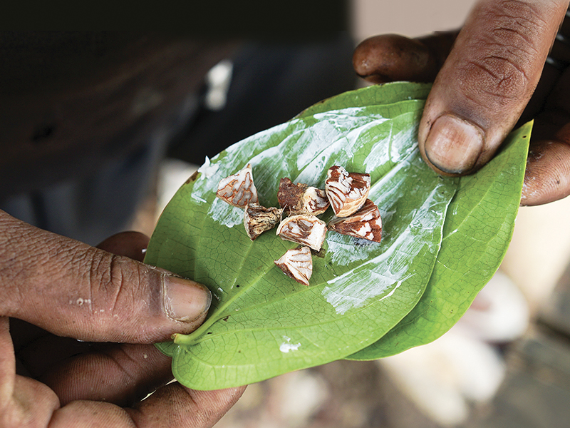 A Bite Of History Betel Chewing In Singapore