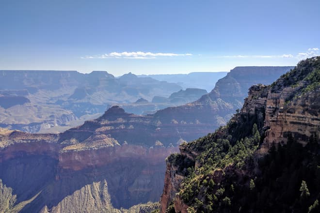 A view across the Grand Canyon. Morning fog partially obscurs the far side. In the foreground, part of the South Rim falls away into the Canyon in a series of steep terraces. Pine trees cover its terraces and slopes.