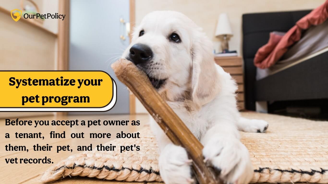 Renting to pet owners 