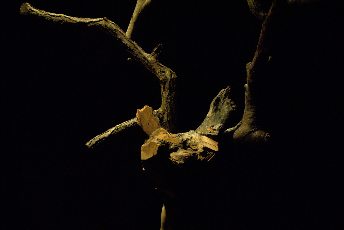 01_DSC_0552 IlGattaRossa - 18 Mar 2015 - I Mangiatori di Patate - 01_DSC_0552