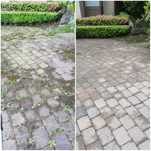Mossy patio before and after