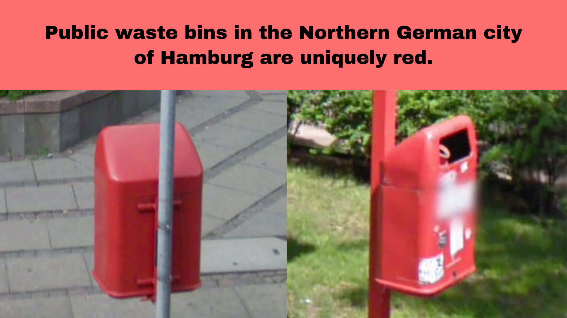 hamburg bin