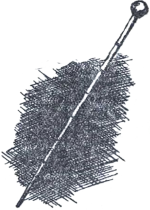 The Case of the Malacca Cane by