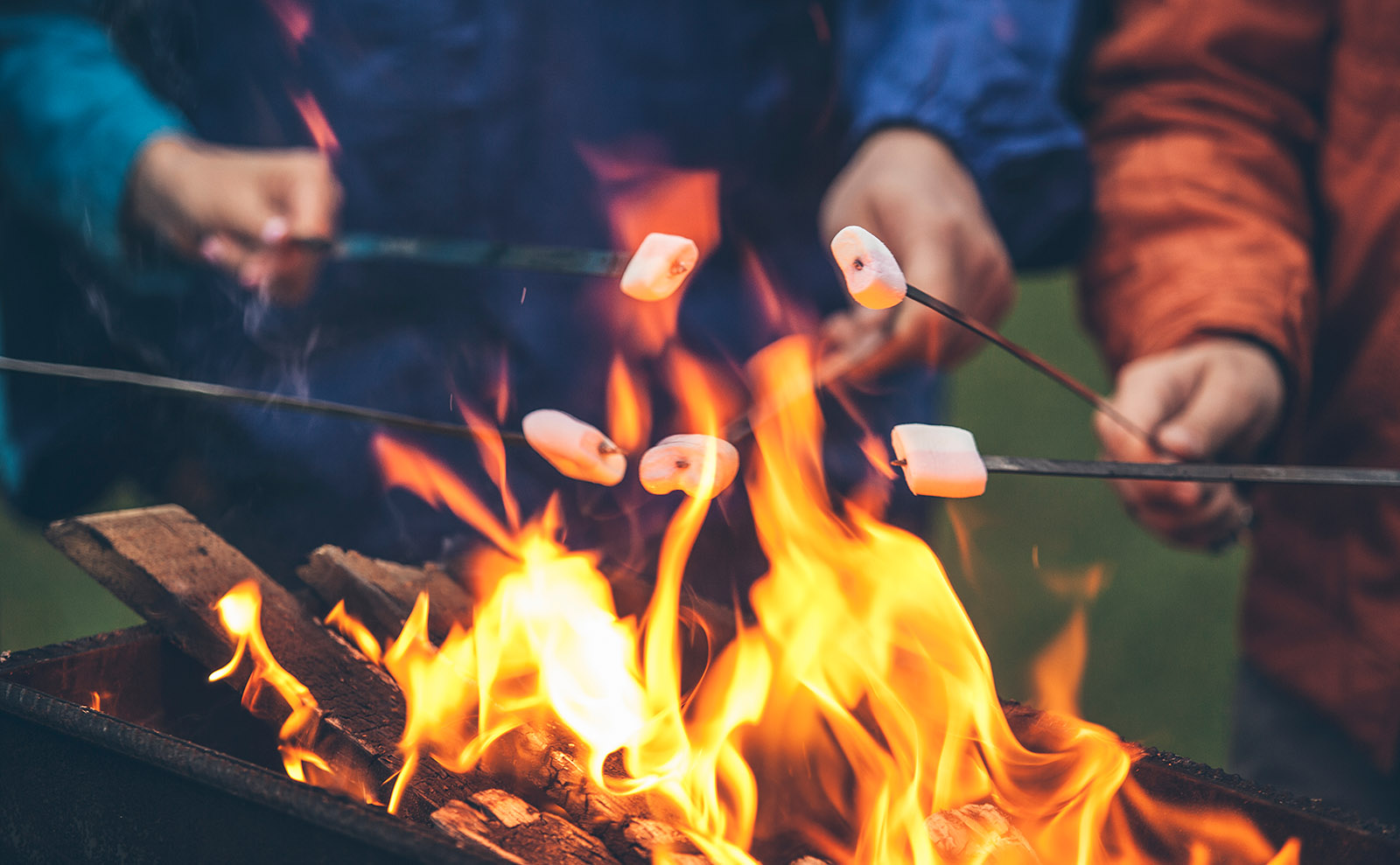 S'mores & Hot Dogs, Library Novels, Judy Blume, Olympic Torch & More: Endnotes 28 July