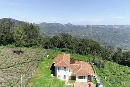 Plot at Sua Serenitea with a forest view