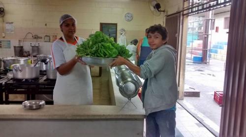 Educação ambiental em escola da capital mineira é um exemplo a ser seguido 6 undefined