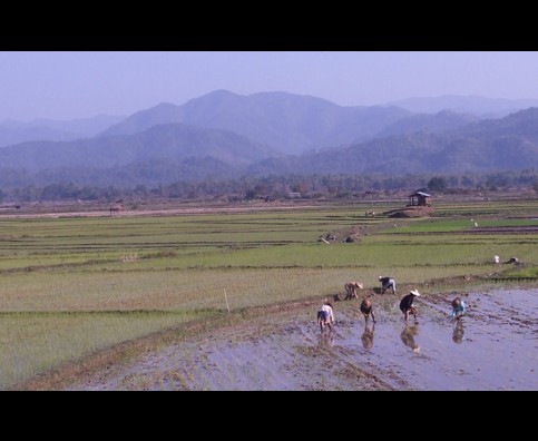 Burma Chinese Border Road 5