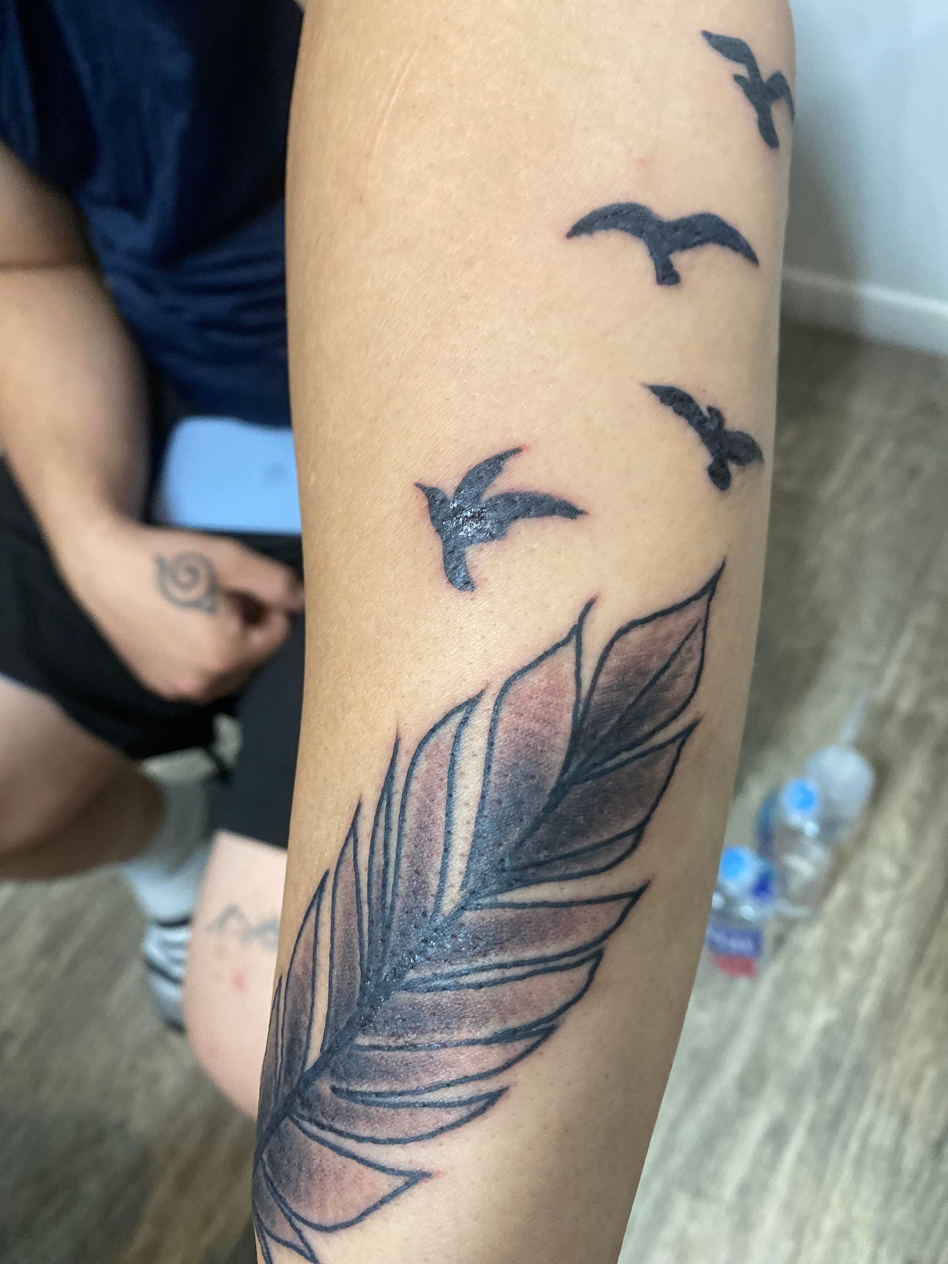 feathers and birds tattoo