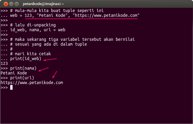 Unpacking Tuple