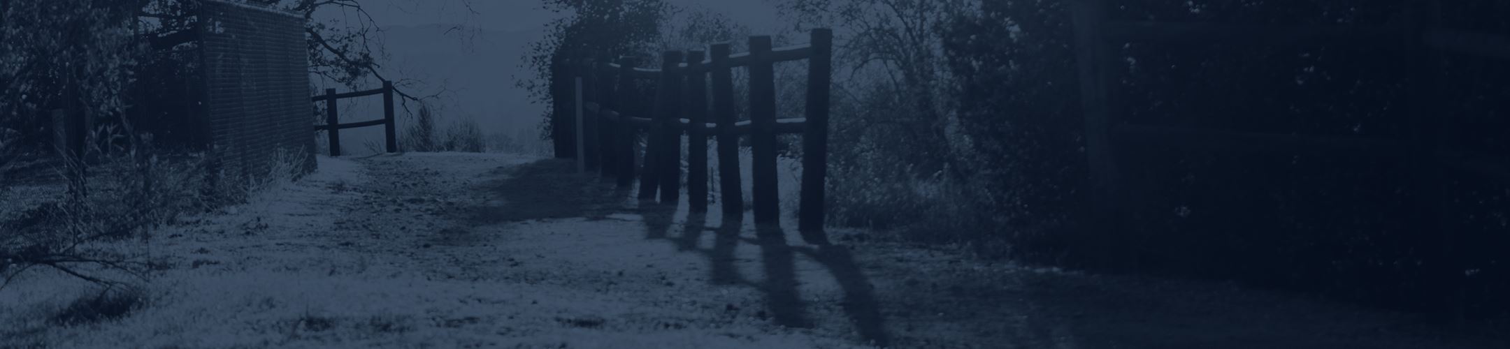 Legacy Society header-img