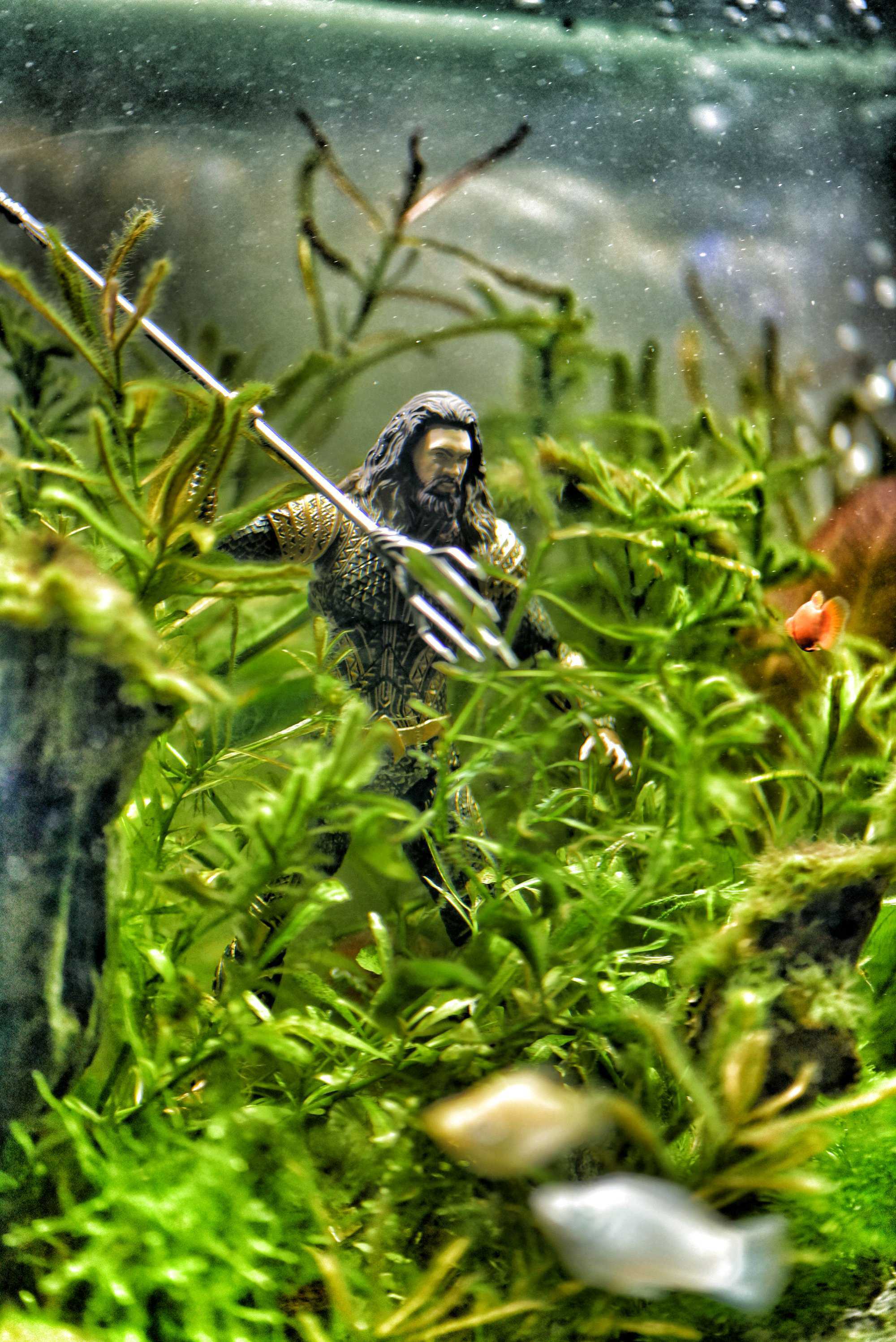 Aquaman In Fish Tank