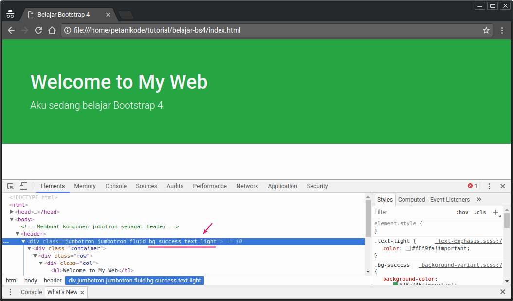 Eksperimen Bootstrap di Inspect Element