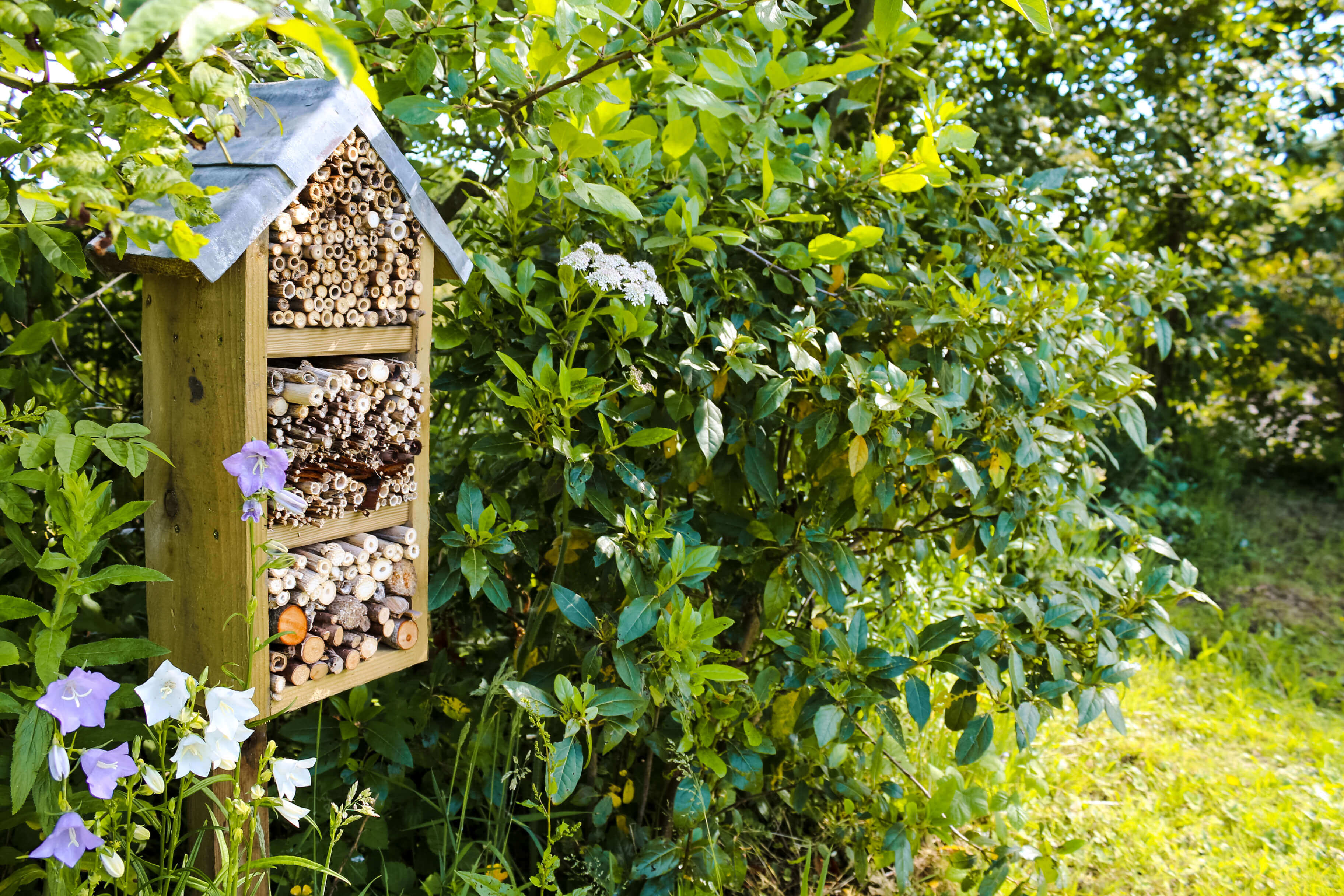 Photograph of a bee and insect hut in the garden area at Dorset chalet