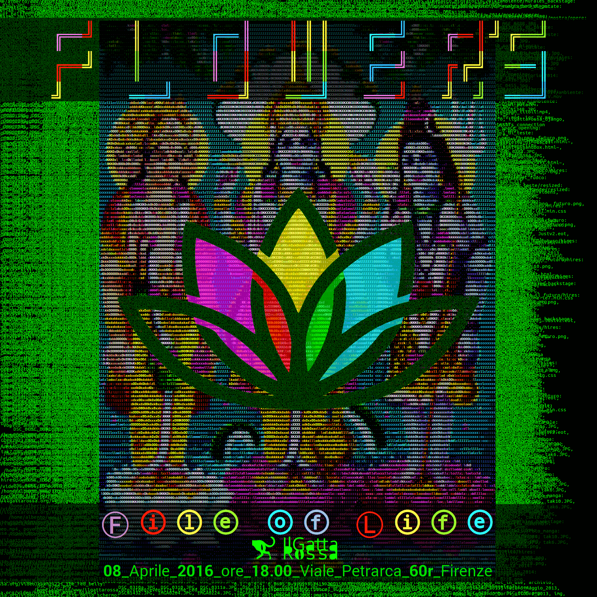flower_s.png