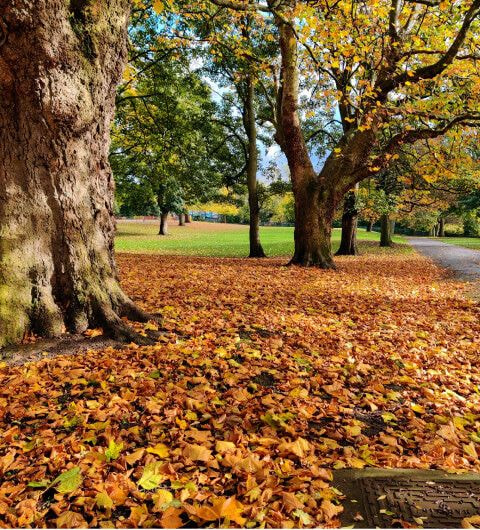 Burley Park - Discover Leeds