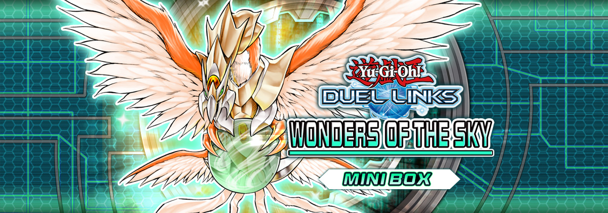 Wonders of the Sky