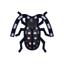 Citrus Long-horned Beetle