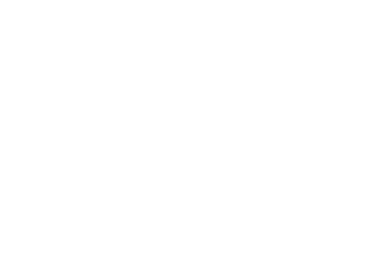 bladder