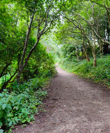 Sugarwell Hill Park path