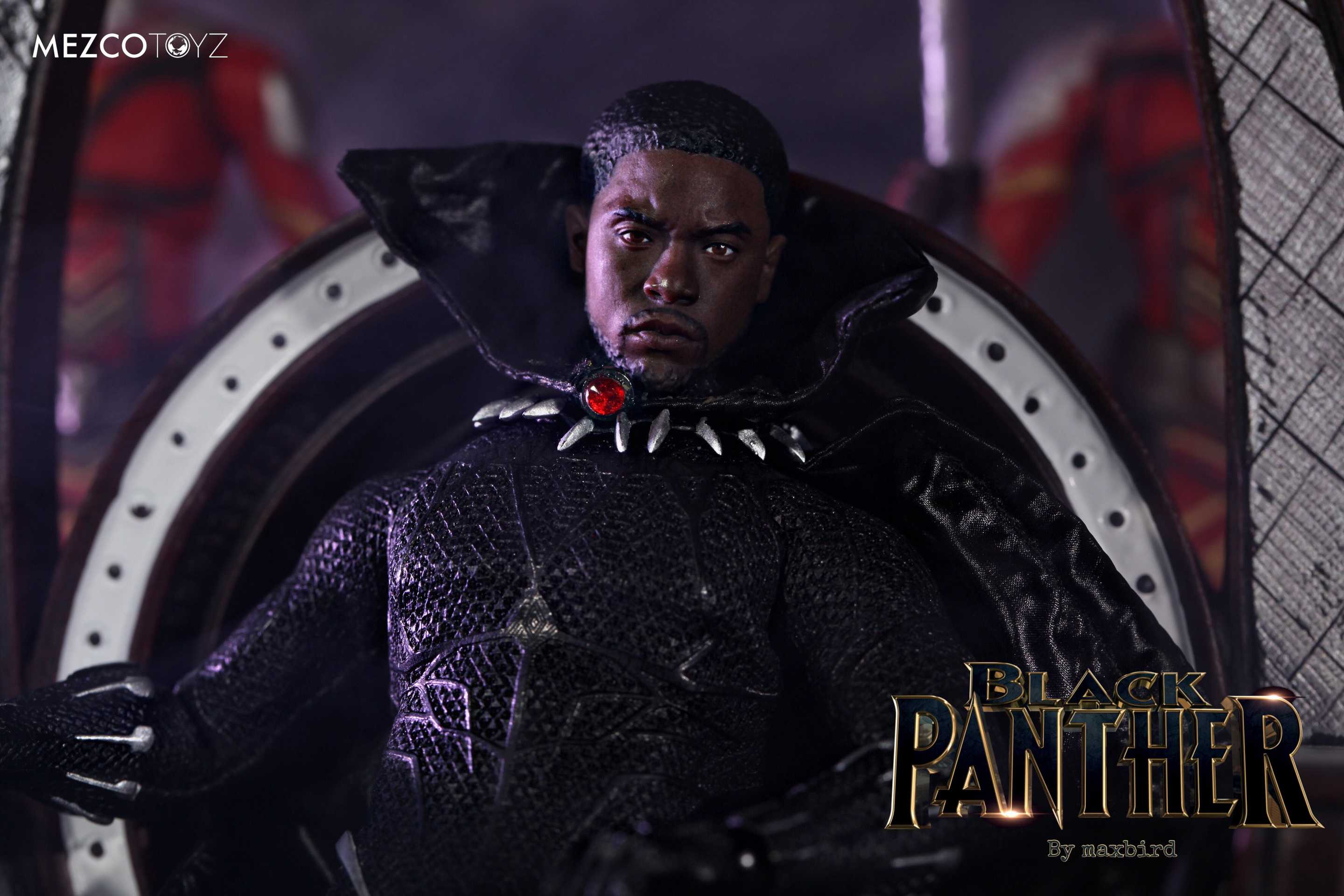 Black Panther With Cloak