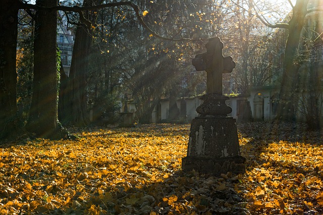 Consciousness Exists After Death