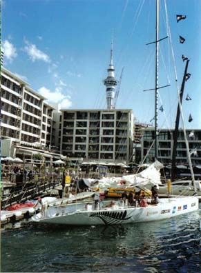 Auckland harbour