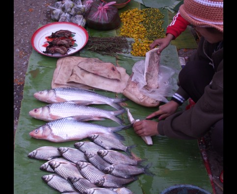 Laos Markets 21