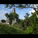 Guatemala Tikal 9