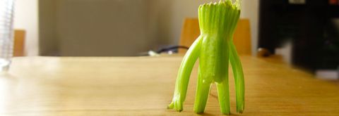 Celery stalk resembling a human shape