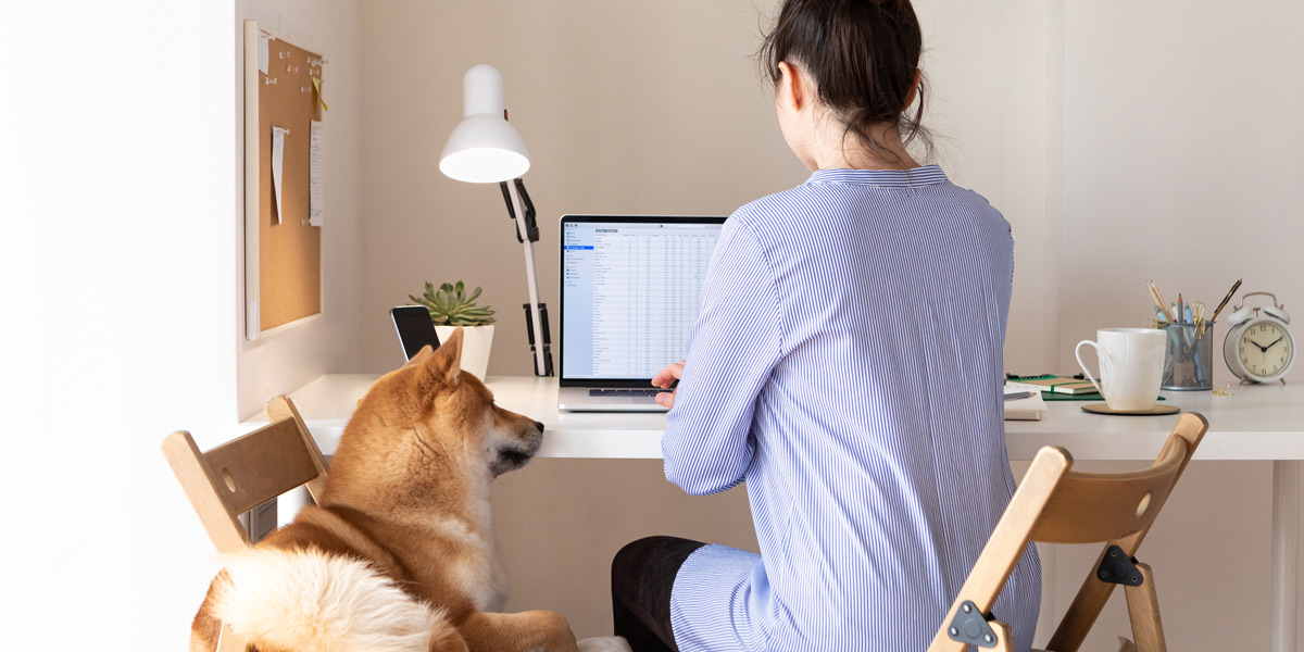 Are you a good fit for a career as a data analyst? An aspiring data analyst sitting at a desk typing on a laptop, with her dog sitting next to her