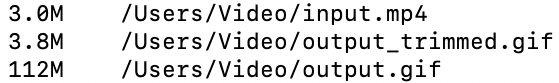 A comparison of the sizes of the input video and the output GIFs