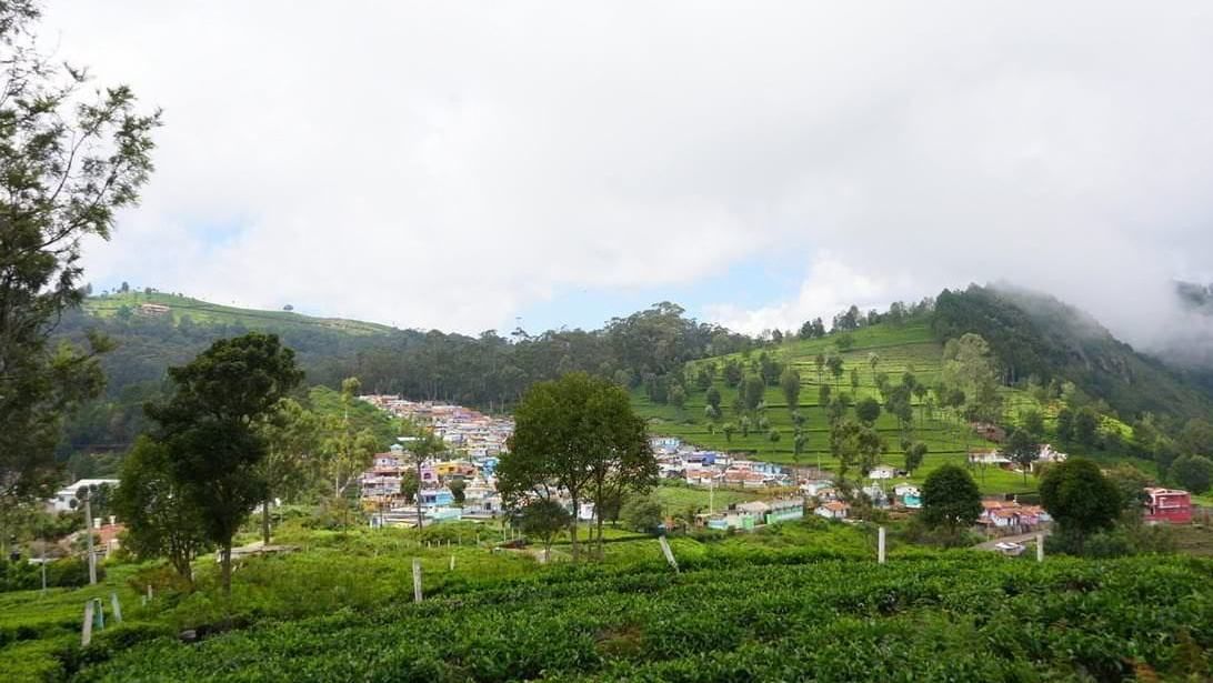 Sunset View | Prime Residential Plots for Sale in Coonoor
