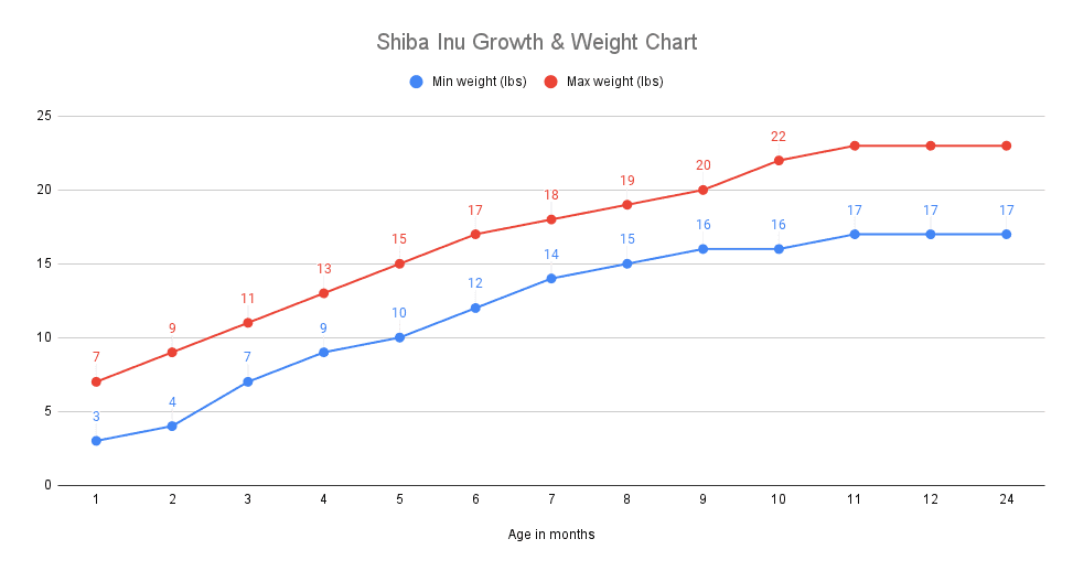 Growth chart with minimum and maximum weight for Shiba Inu puppies from 1 to 24 months of age