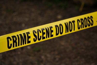 Crime Scene Consultation