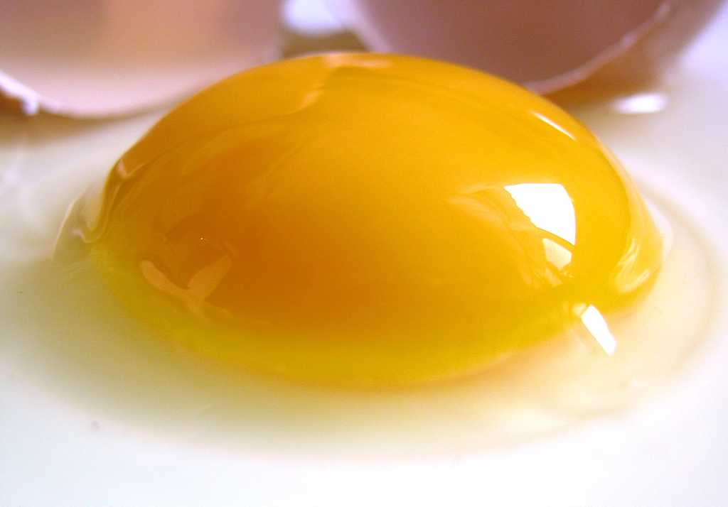 1 egg biotin